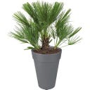 elho loft urban Rund Kruka 28 cm - Hög - antracit