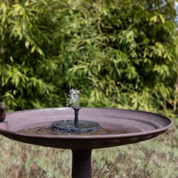 Esschert Design Bebedero para Pájaros- Fuente Solar - 1 pieza