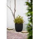 Capi Planter Ball 