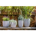 Capi Vaso Ball - Groove - 35x34 cm - Avorio