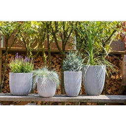 Capi Vaso Ball - Groove - 35x34 cm - Avorio