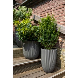 Capi Planter Elegant low 