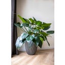 Capi Planter Elegant low 