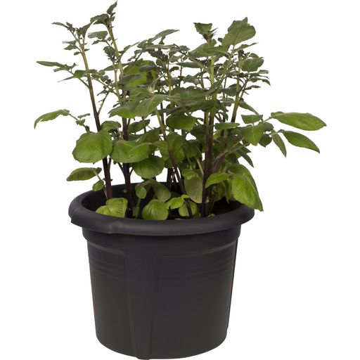 Pot pour Pommes de Terre GREEN BASICS - 33 cm - Noir