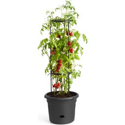 elho green basics tomato pot, 33 cm