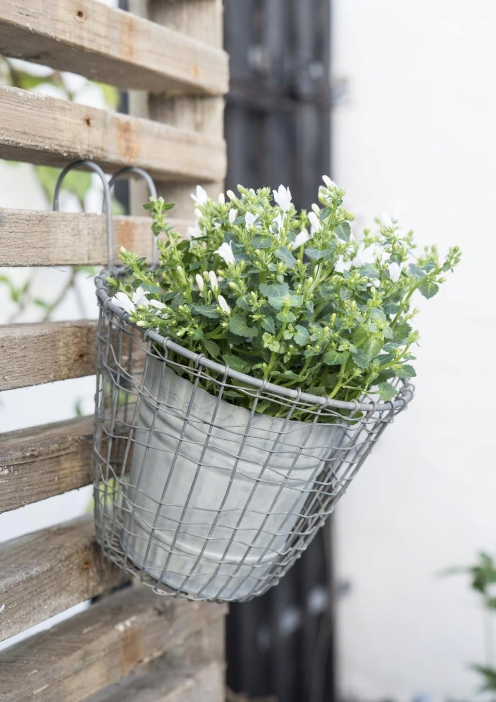 IB Laursen Hängeblumentopf