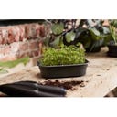 elho green basics grow tray, S