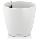 Lechuza Planter CLASSICO Color 21