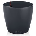 Lechuza Planter CLASSICO Color 21