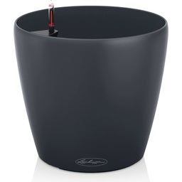 Lechuza Planter CLASSICO Color 21