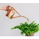 HAWS Classic Indoor Copper Watering Can - 1 L - 1 item