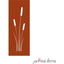 Prima terra Privacy Protection - 158 x 60 cm - Reed