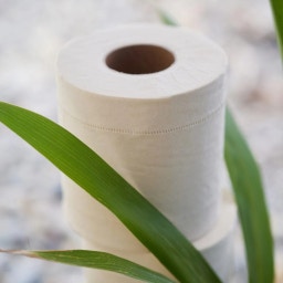 Pandoo Bamboo Toilet Paper  - 1 Pkg