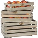 Esschert Design Škatle za sadje, 3-delni komplet - 