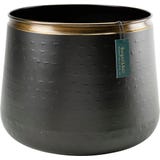 Burgon & Ball "Sahara" f&eacute;m vir&aacute;gcser&eacute;p