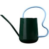 Regadera de Interior con Asa Ondulada - Collector