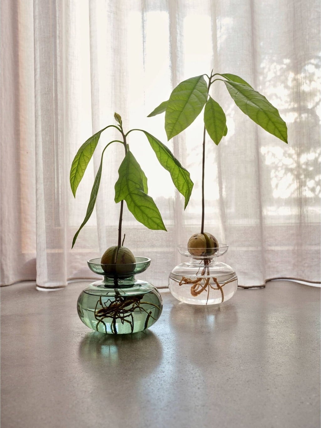 Zone Denmark Inu Vase, Small - 1 item