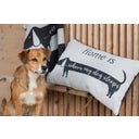 David Fussenegger Husdjurfilt Tax - 100 x 140 cm