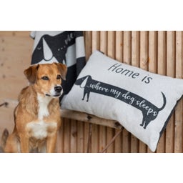 David Fussenegger Husdjurfilt Tax - 100 x 140 cm