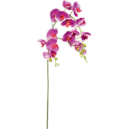 fleur ami Branche d'Orchidée Phalaenopsis - H : 135cm