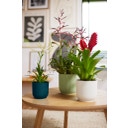 elho Lonec vibes - 18 cm - sorbet zelena