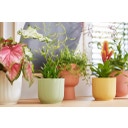 elho Lonec vibes - 18 cm - sorbet zelena