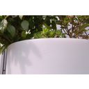 Svetilka Outdoor / Shining Pots - Curvy / Solar