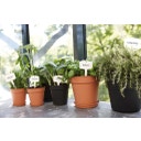 elho Soucoupe GREEN BASICS - Living Noir