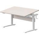 Flexa STUDY Höhenverstellbarer Schreibtisch - Grau lasiert / weiß