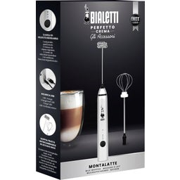 Handheld Milk Frother with 2 Whisks & USB Connection, Silver