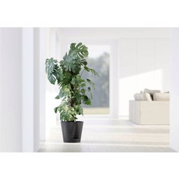 Ecopots Venice 2 Pflanztopf dunkelgrau