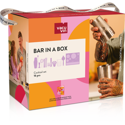 Set da Cocktail - Bar in a Box Master, 16 Pezzi