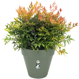 elho Pot Rond LOFT URBAN - 20 cm - Vert pistache
