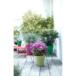 elho Pot Rond LOFT URBAN - 20 cm - Vert pistache