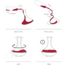 Vacu Vin Decanter con Movimento a Vortice