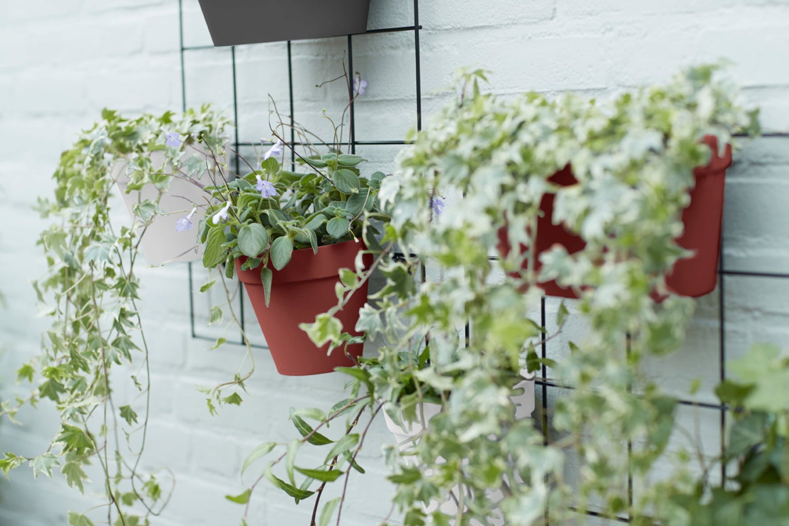 elho loft urban green wall 