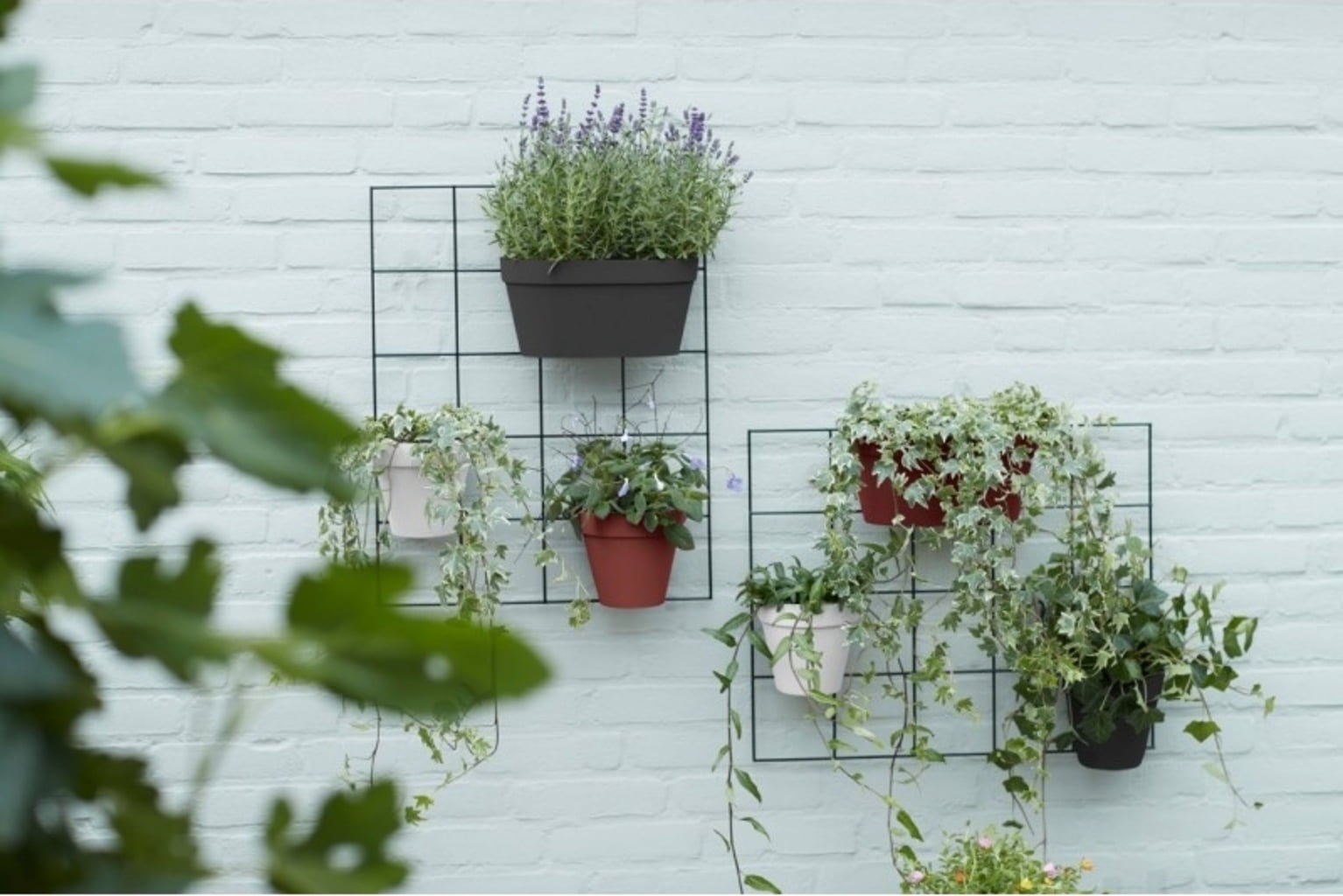 elho loft urban green wall 