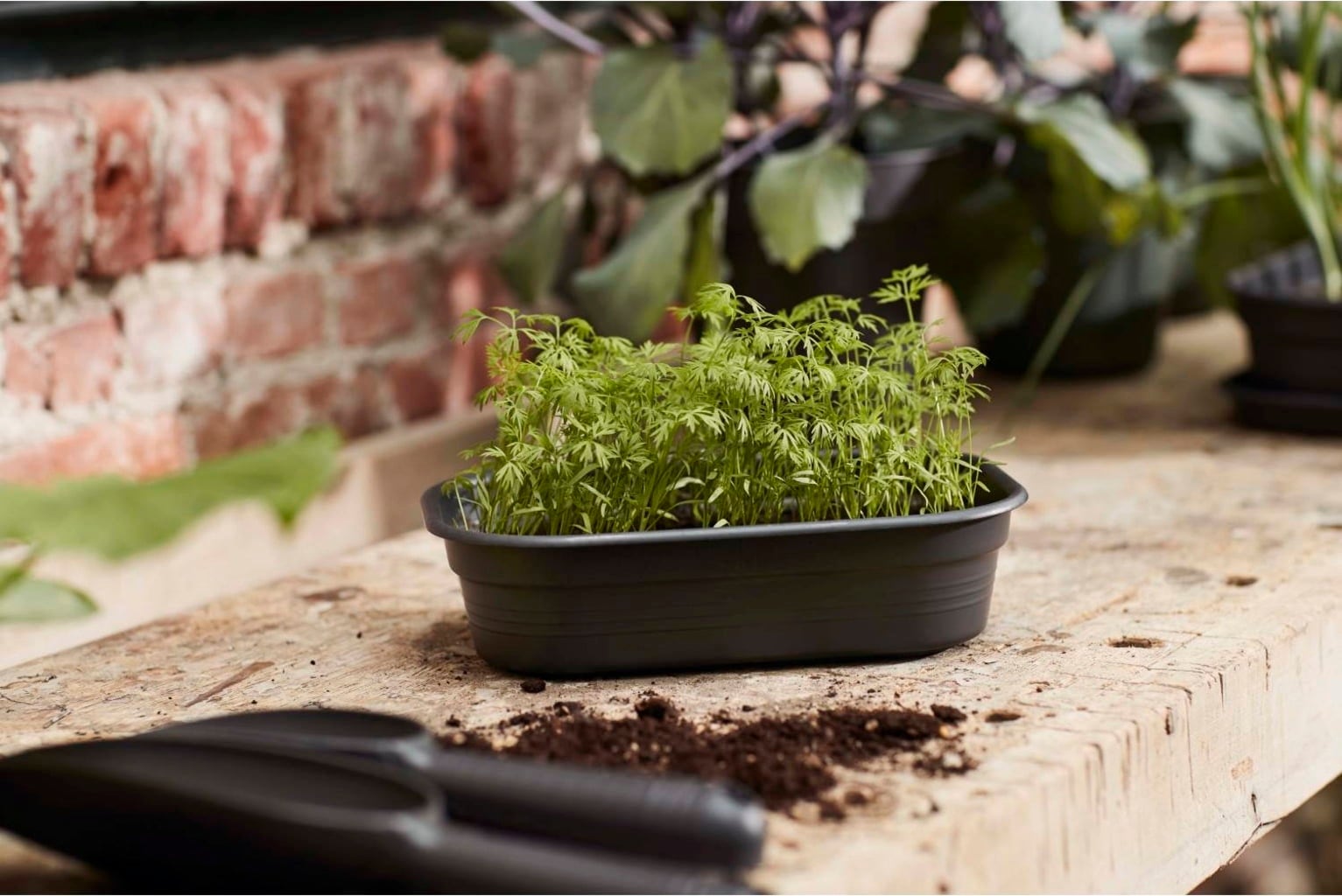 elho green basics Planter