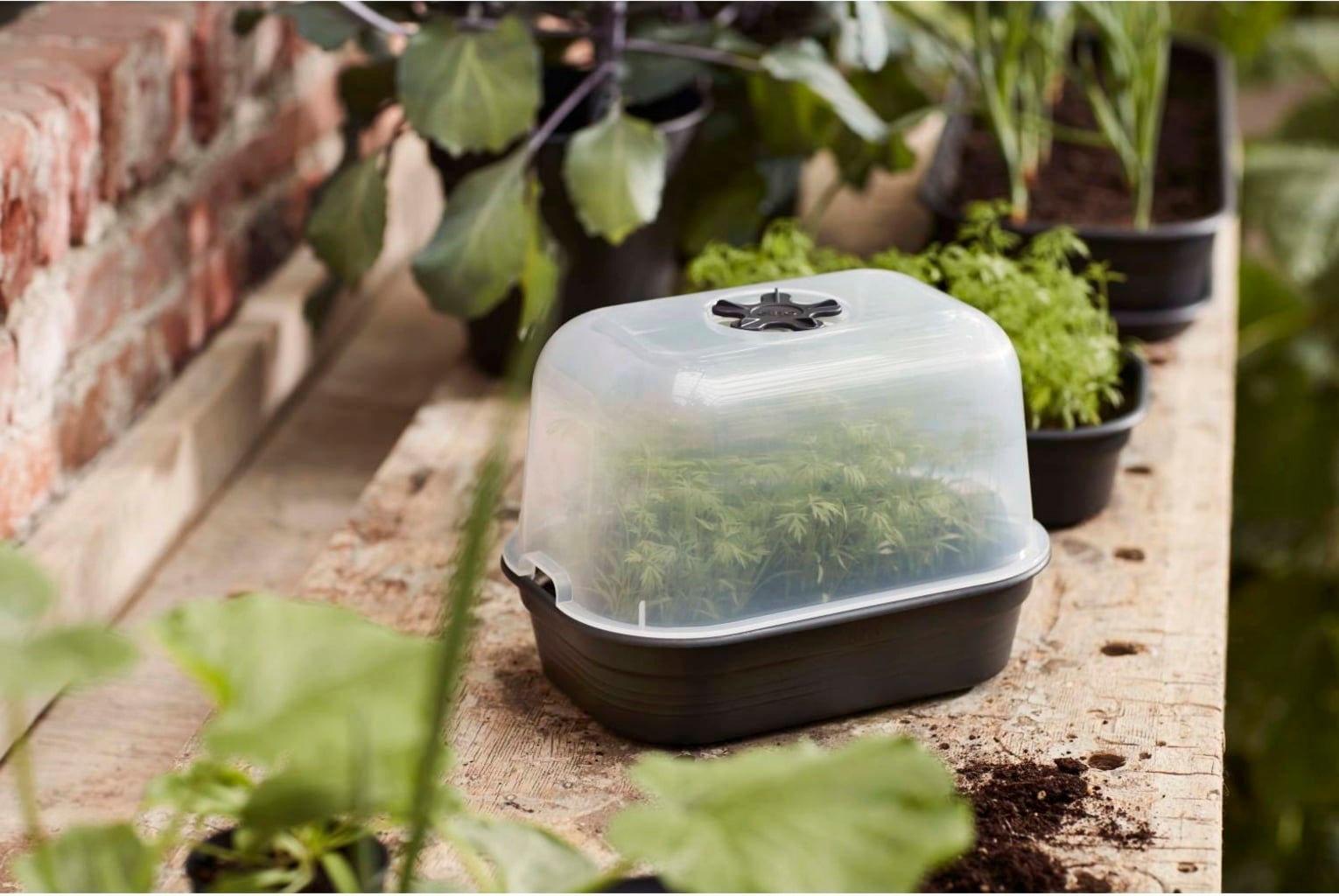 elho green basics Planter