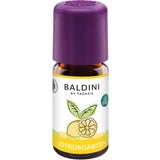 TAOASIS Baldini Duftmischung Zitrusgarten