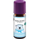 TAOASIS Baldini Duftmischung Winterzeit - 10 ml