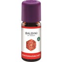 Baldini Winter Fairy Tale Fragrance Blend - 10 ml