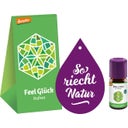TAOASIS Baldini Mini-Duftset Feelglück® - Baldini Geschenkset Bio/ Demeter