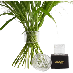 Hanataba Bouquet Twister Set - Crystal Clear