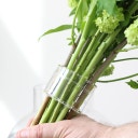 Hanataba Bouquet Twister Set - Crystal Clear