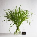 Hanataba Bouquet Twister Set - Crystal Clear