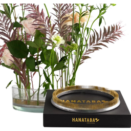 Hanataba Kenzan Ring - Flower Frog - 20 cm