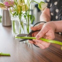 Hanataba Japanese Bonsai Scissors