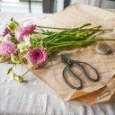Hanataba Japanese Bonsai Scissors