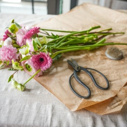 Hanataba Japanese Bonsai Scissors